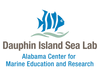 <iframe width="560" height="315" src="https://www.youtube.com/embed/zBgS8dvOu6I" title="YouTube video player" frameborder="0" allow="accelerometer; autoplay; clipboard-write; encrypted-media; gyroscope; picture-in-picture; web-share" allowfullscreen></iframe>