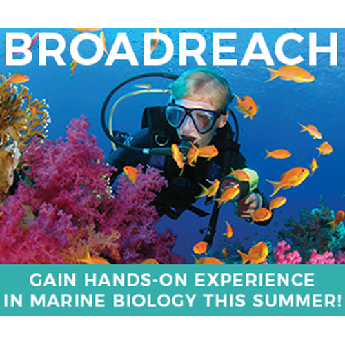 Broadreach