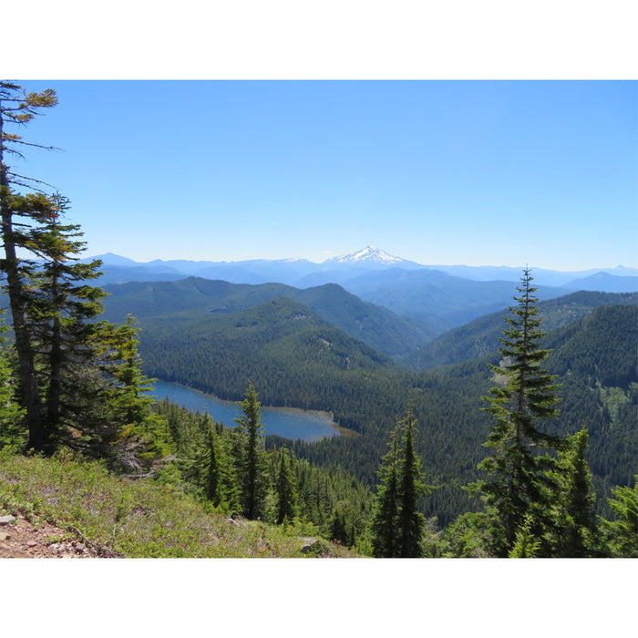 Opal Creek Expeditions